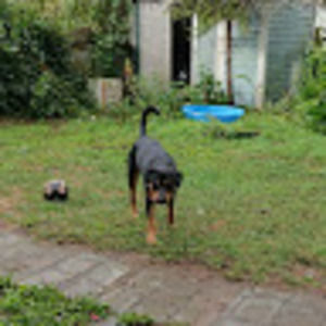 Meet your Posher, Nathan